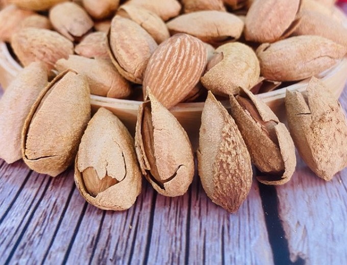 خرید و قیمت بادام منقا شور + فروش عمده
